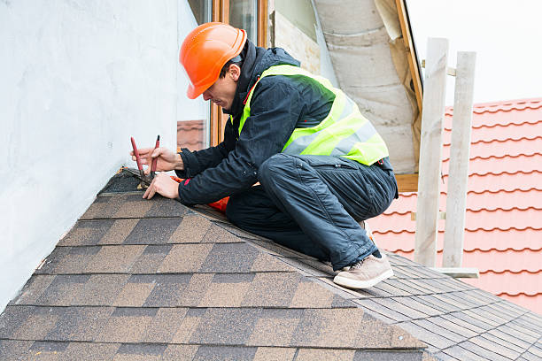 Best Roof Gutter Cleaning  in Tornillo, TX