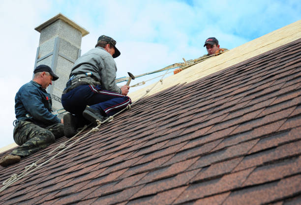 Best Residential Roofing Contractor  in Tornillo, TX